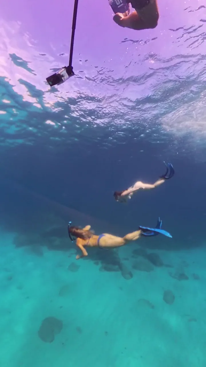 Experiencia de snorkel en Los Cabos
